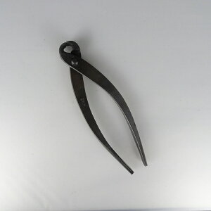 Ru ~̓nT~  F {Ep ~͌p ~͗p pi ΂ |pi K[fjO 