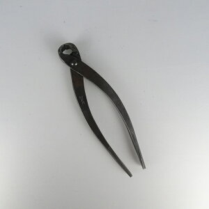 Ru ~̓nT~  F {Ep ~͌p ~͗p pi ΂ |pi K[fjO 