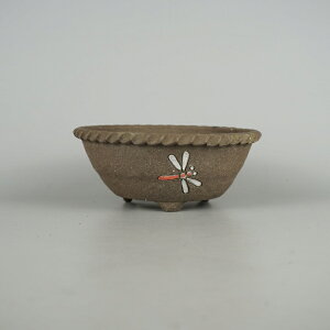 ~͔ R zOR ^   15.7cm I]| ۔ FG x Ƃ g{ Ϗܗp i Vi 