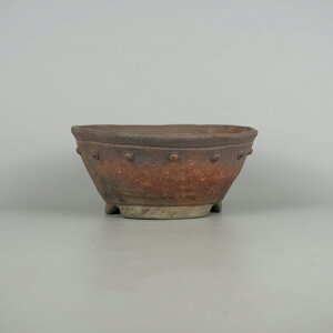 ~͔ R zOR ^   17.2cm I]| ۔ e D i Vi 