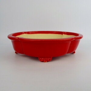 ~͔  q ^  21.5cm ؉Z O _  ֖ i Vi 