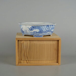 ~͔  ^  14cm ؉Z t } t Ϗܗp i Vi