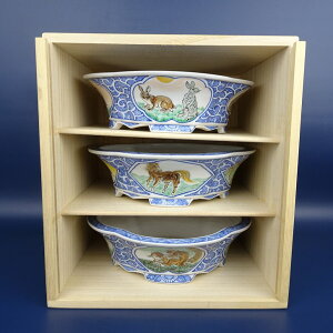 ~͔  3Zbg ^  19cm ؉Z O FG \x} x  Og z  i Vi