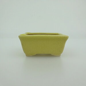 ~͔    6cm  ѓ t ֖ i