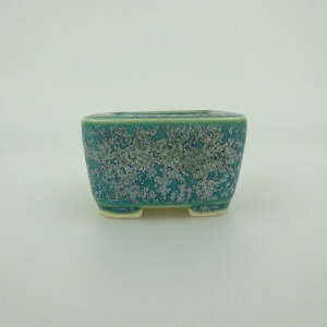 ~͔    4.5cm  ֖ i