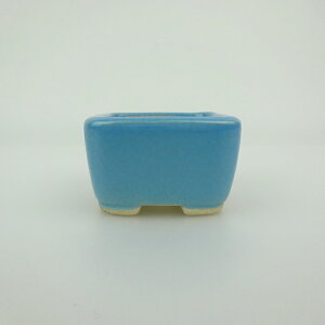 ~͔    4.7cm  ֖ i