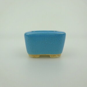 ~͔    4.8cm  ֖ i