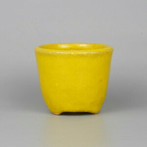 ~͔ F   8.8cm ۔  ֖ i Vi