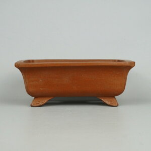 ~͔ 튊 W 6 W z ^  15.6cm   _ io[ D i Vi 