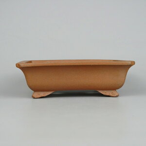 盆栽鉢 常滑 樹晃 鴻陽陶園 小型 長辺 約16.5cm 長方鉢 隅入 雲足 泥物 現品 新品 送料無料