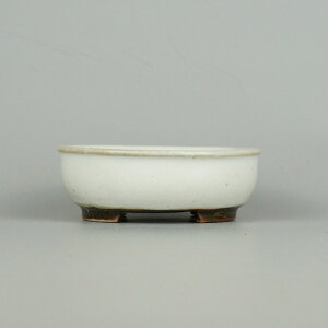 ~͔    9.3cm ۔ ֖ i Vi 