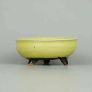 ~͔     9.5cm ۔ ֖ i Vi 