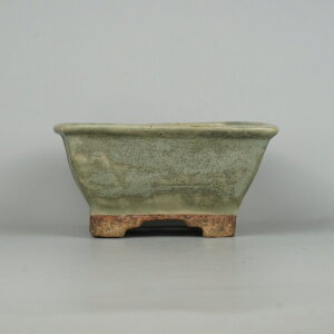 ~͔ R v ӎOY ^  13cm  ֖ i Vi 