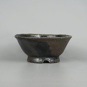 ~͔ R v ӎOY ^  14.5cm ۔ D i Vi 