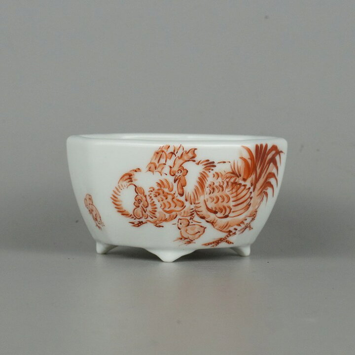 楽天市場】盆栽鉢 春嘉 はるよし 小鉢 長辺 約8cm 八角鉢 赤絵 矮鶏 