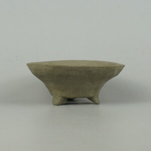 ~͔ q ^  10.3cm ۔ D ʕ Vi