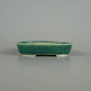 ~͔    10cm ȉ~ ֖ i 