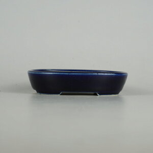 ~͔    10cm ȉ~ ֖ i 