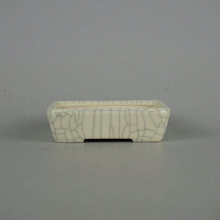 楽天市場】盆栽鉢 青香 小鉢 長辺 約9.5cm 長方鉢 釉薬 現品 送料無料 