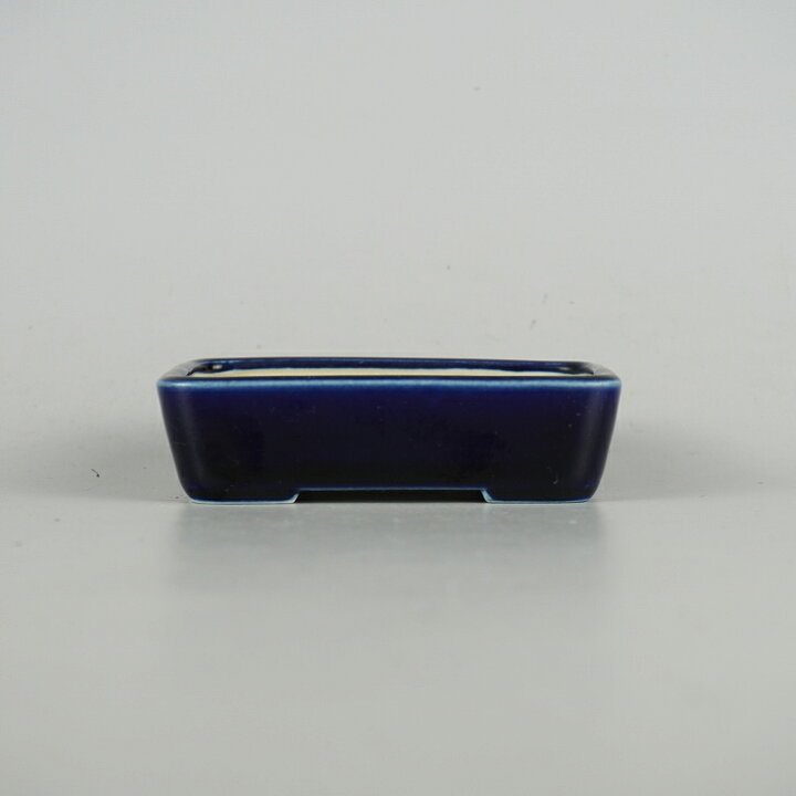楽天市場】盆栽鉢 青香 小鉢 長辺 約9.4cm 長方鉢 釉薬 現品 送料無料 