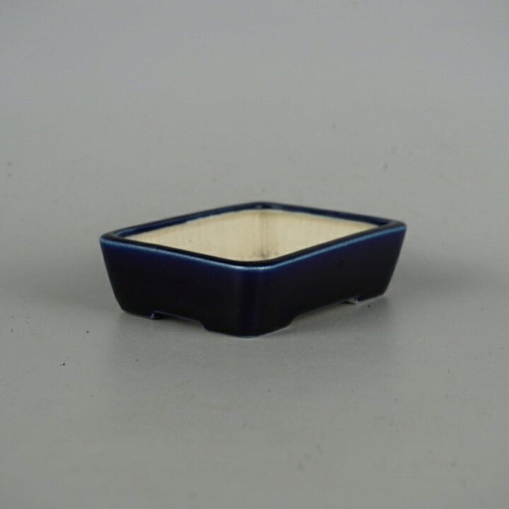 楽天市場】盆栽鉢 青香 小鉢 長辺 約9.4cm 長方鉢 釉薬 現品 送料無料 