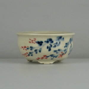 ~͔ D     6.5cm ۔ FG  ͂ ni A ӏ Ϗܗp i Vi 