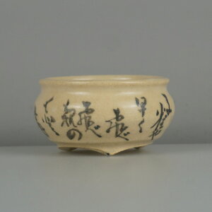 ~͔ D     6.3cm ۔   XY A  ӏ Ϗܗp i Vi 