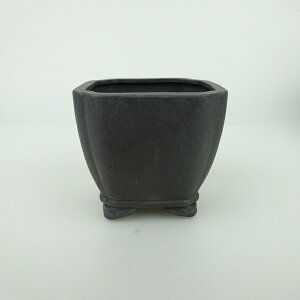 ~͔    6.5cm   _  D i