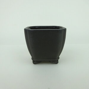 ~͔    6.8cm   _  D i