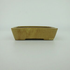 ~͔    9.3cm  ֖ i 