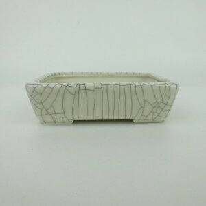 ~͔    9.5cm  ѓ ֖ i 