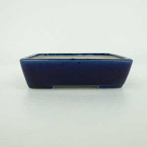 ~͔    9.5cm  ֖ i 