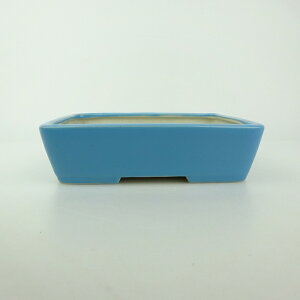 ~͔  ^  14.5cm  ֖ i 