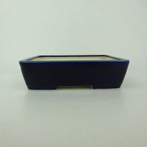 ~͔  ^  14.5cm  ֖ i 