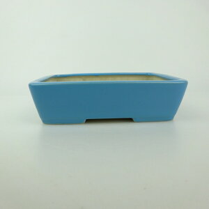 ~͔  ^  14.5cm  ֖ i 