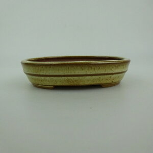 ~͔    9.9cm ȉ~  ֖ i 