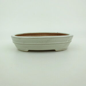 ~͔    10cm ȉ~  ֖ i 