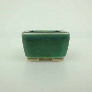 ~͔    4.3cm  ֖ i Vi