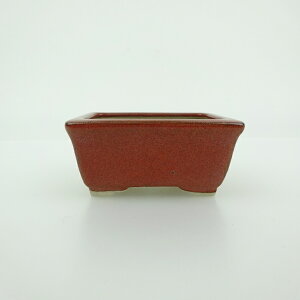 ~͔    5.8cm  t ֖ i