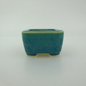 ~͔    4.3cm  ֖ i