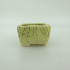 ~͔    4.6cm  ѓ ֖ i