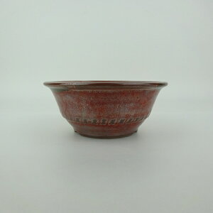 ~͔ Ό ^  12.3cm ۔ O ֖ Vi ʕ