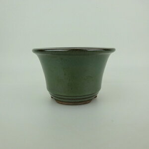 ~͔ Ό ^  11.6cm ۔ O  ֖ Ϗܗp i Vi