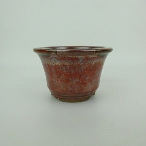 ~͔ Ό ^  11.5cm ۔ O  ֖ Ϗܗp i Vi