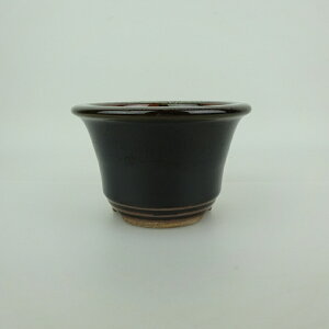 ~͔ Ό ^  11.6cm ۔ O  ֖ Ϗܗp i Vi