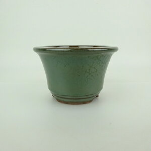 ~͔ Ό ^  11.6cm ۔ O  ֖ Ϗܗp i Vi