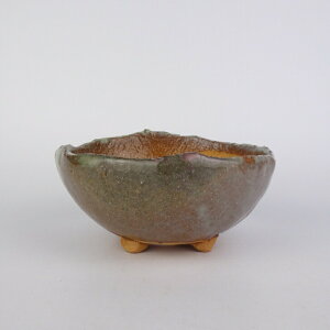 ~͔ |P ^  12cm ۔ ֖ ʕ Vi 1000~|bL |bL ۂ