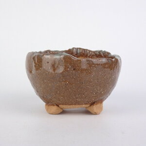 ~͔ |P   7cm ۔ ֖ ʕ Vi