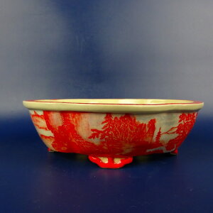 ~͔ I ^  16.7cm ؉Z O ԊG i R} i Vi 