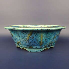 盆栽鉢 常滑 樹晃 鴻陽陶園 小型 長辺 約16.4cm 木瓜鉢 外縁 釉薬 現品 新品